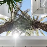 Ξενοδοχείο ανατολή Naxos City