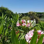 ανατολή Ξενοδοχείο Naxos City