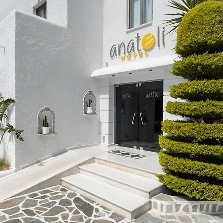 아나톨리 2* Naxos City