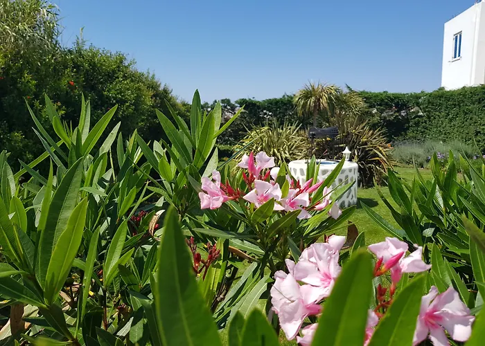 ανατολή Ξενοδοχείο Naxos City